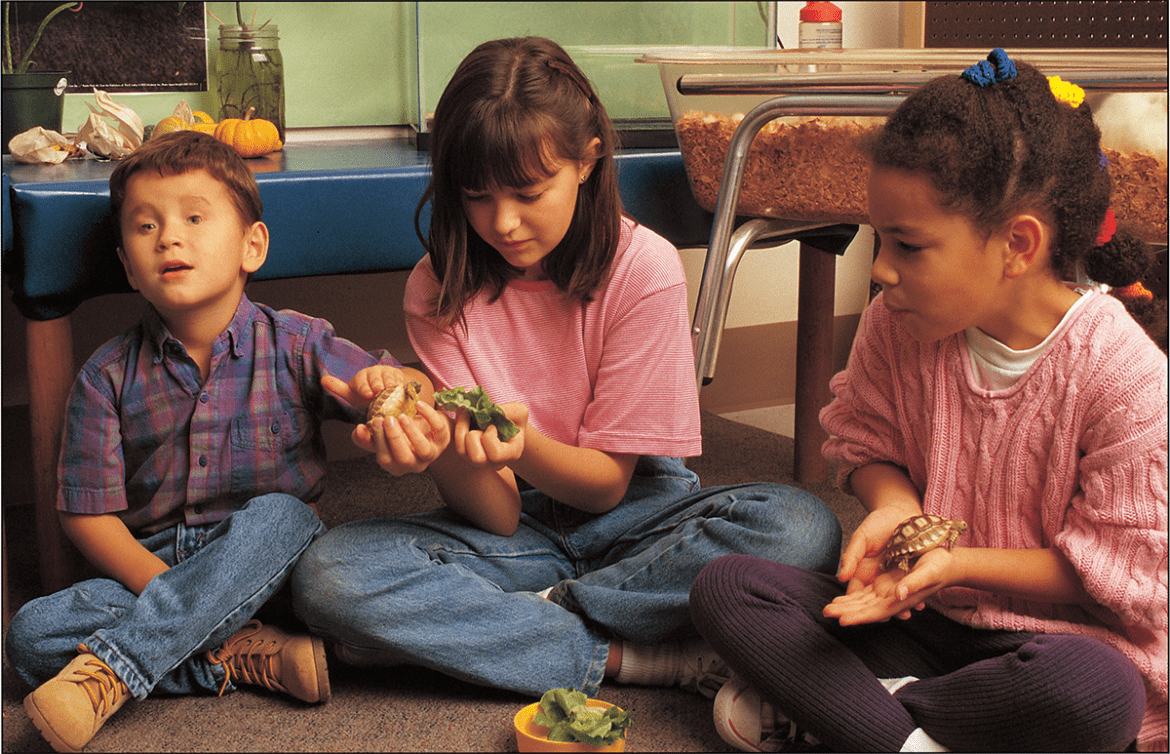 inclusive-early-childhood-education-top-10-benefits-you-should-know